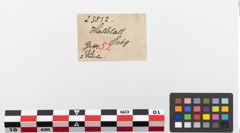 Etiketten zu Bronzekahnfibel (NHMW-PRAE-023812)